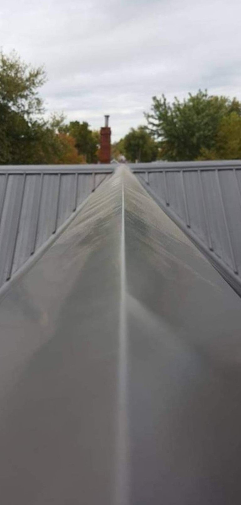 Perspective view of a clear plastic row cover stretched across a metal-framed garden bed with trees and chimney visible in background